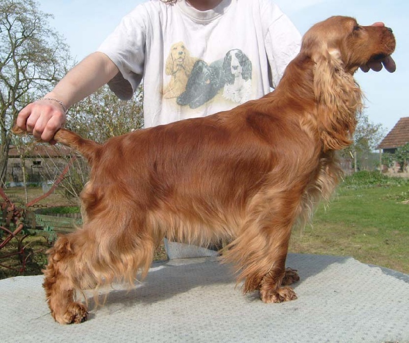 Publication : De la Vallée Vérouiller