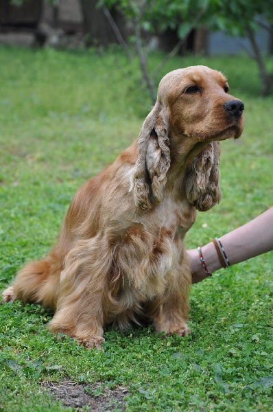 Publication : De la Vallée Vérouiller