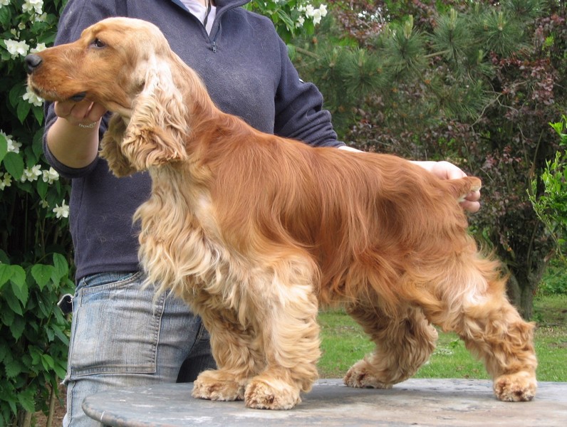 Publication : De la Vallée Vérouiller