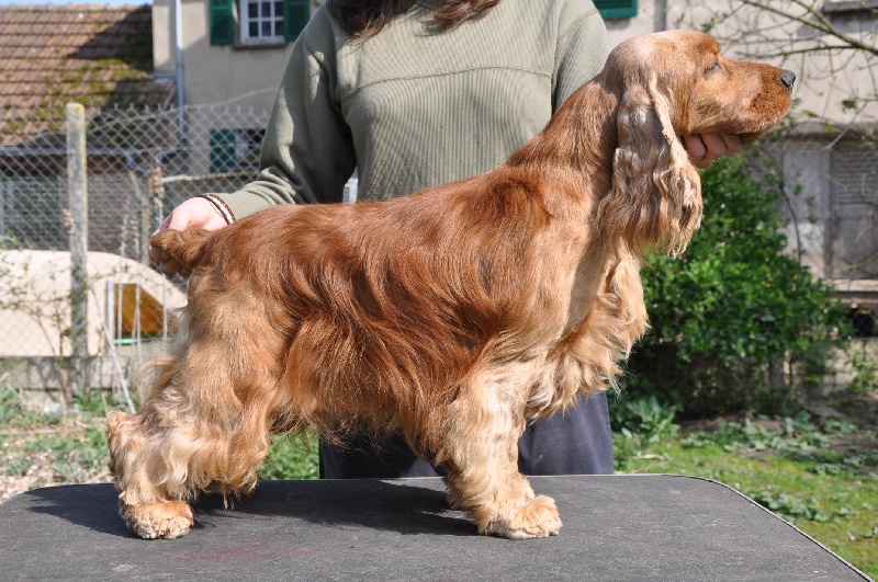 Publication : De la Vallée Vérouiller