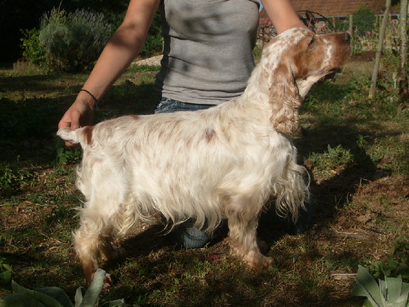 Publication : De la Vallée Vérouiller