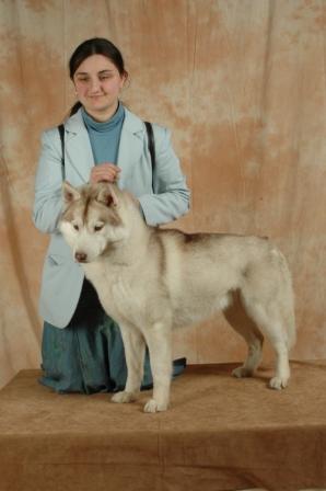 CH. Ushuaïa og Island Snaëgerdi