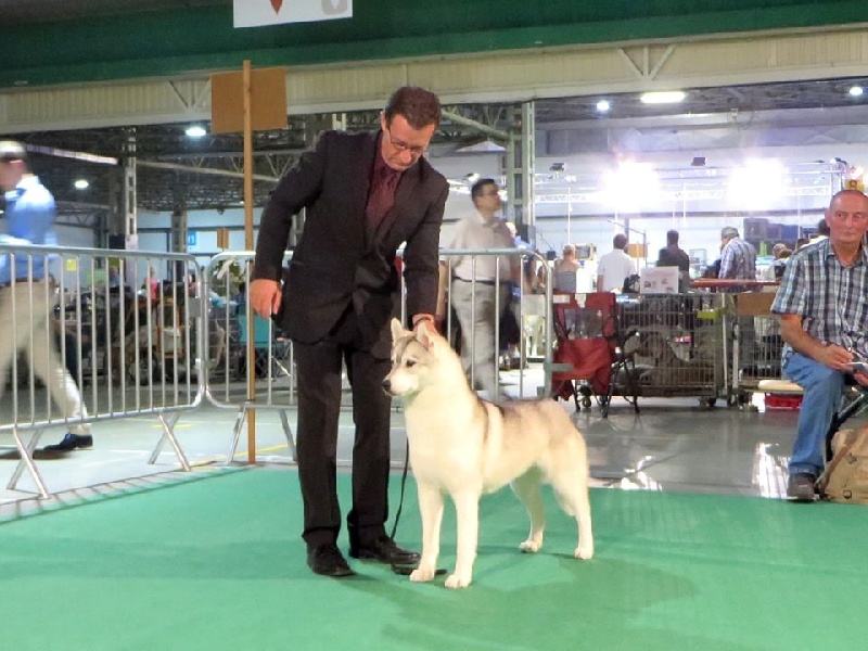 Eyrinn og Island Snaëgerdi