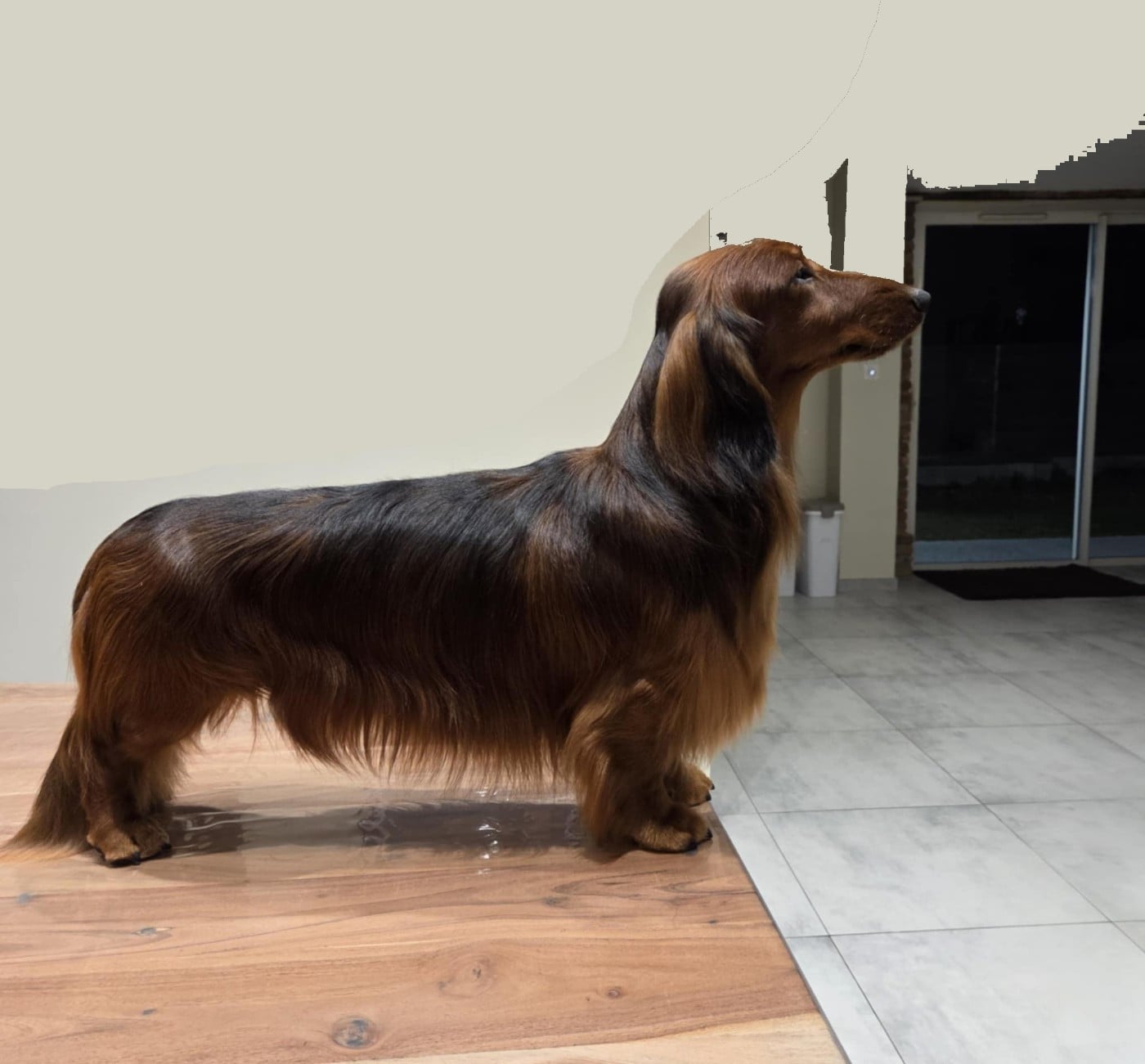 Publication : du reve six coeurs Auteur : F H