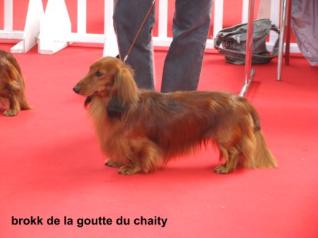 Publication : du reve six coeurs Auteur : f .hahn