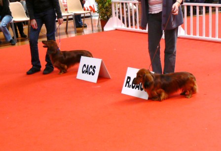 Publication : du reve six coeurs Auteur : f .hahn