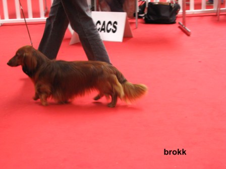 Publication : du reve six coeurs Auteur : f .hahn