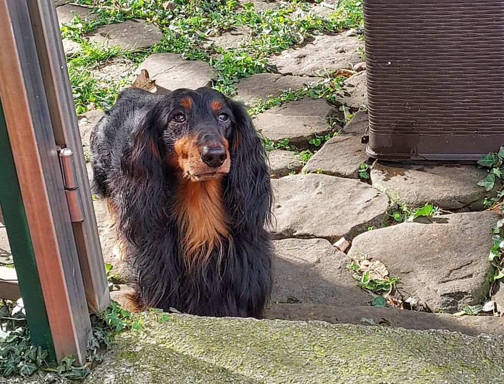 Publication : du reve six coeurs