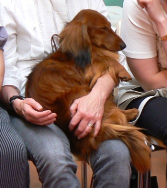 Publication : du reve six coeurs Auteur : f .hahn