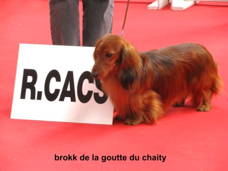 Publication : du reve six coeurs Auteur : f .hahn