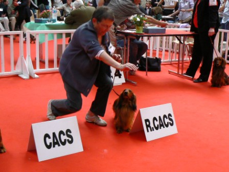 Publication : du reve six coeurs Auteur : f .hahn