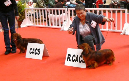 Publication : du reve six coeurs Auteur : f .hahn