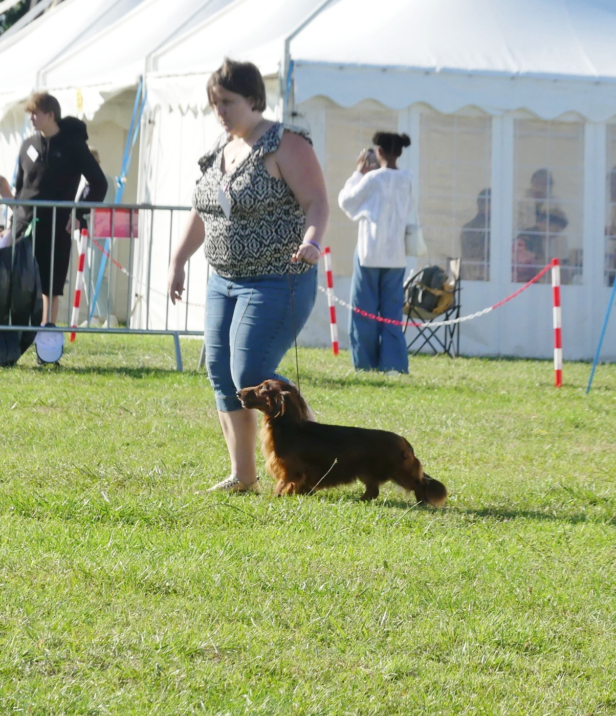 Vésuve du reve six coeurs - 1er exc cacs