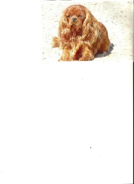 Publication : Des Marais De Bremes