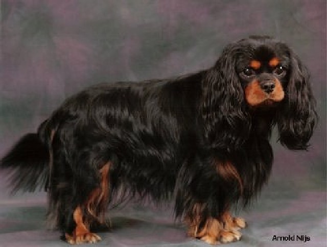 Publication : Des Marais De Bremes