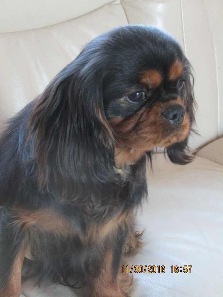 Publication : des marais de Bremes