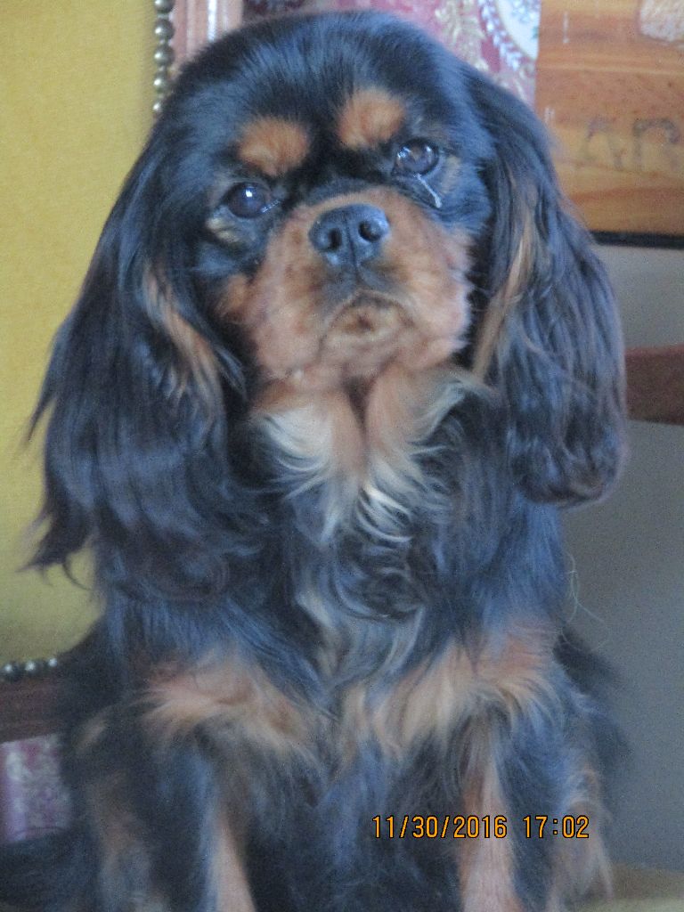 Publication : des marais de Bremes