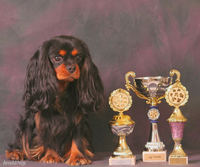 Publication : Des Marais De Bremes