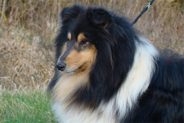 Publication : de la source du Montet