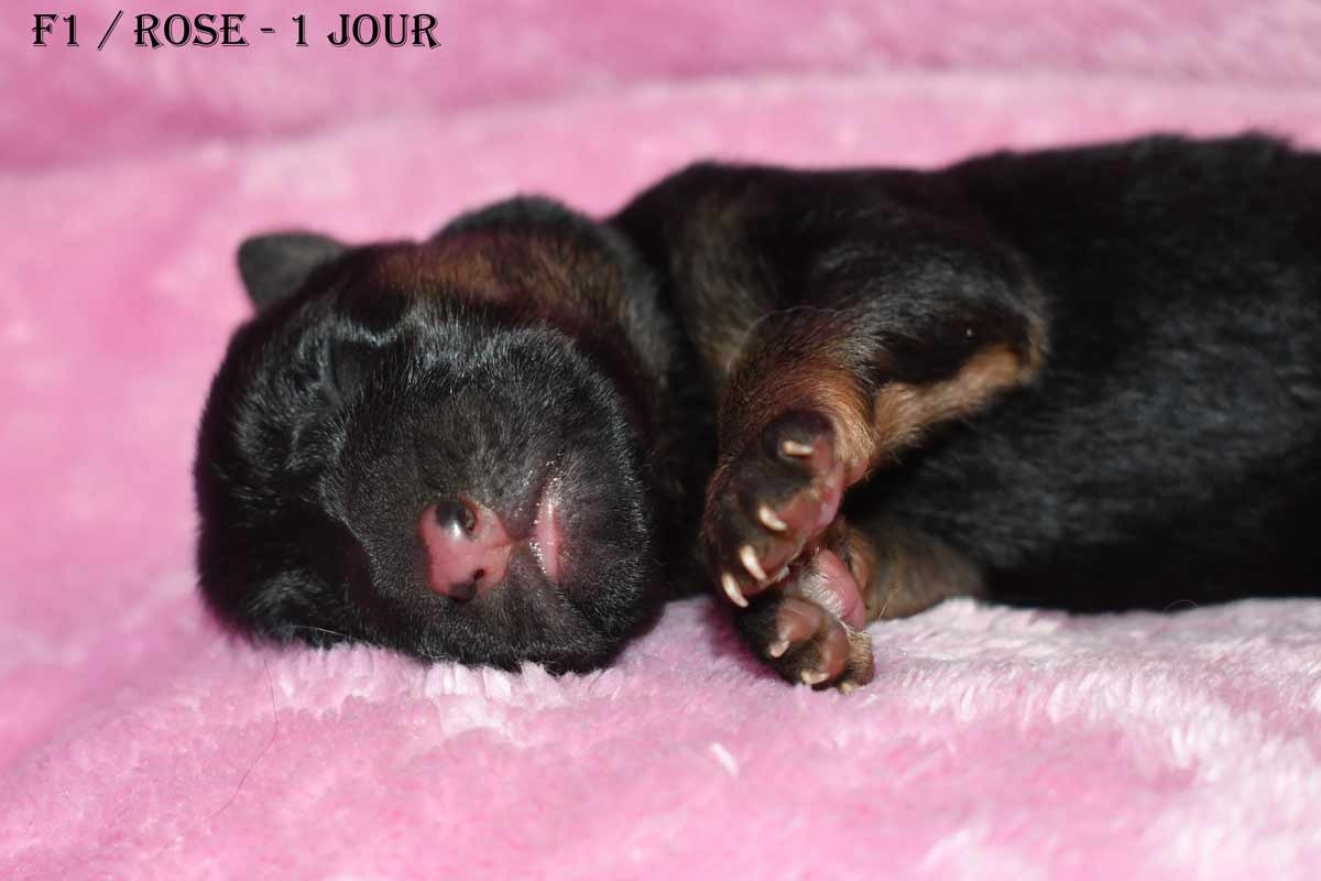 Publication : de la source du Montet