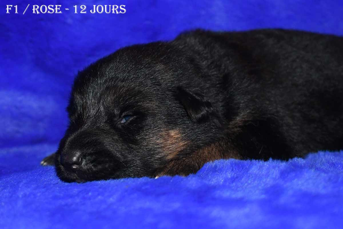 Publication : de la source du Montet