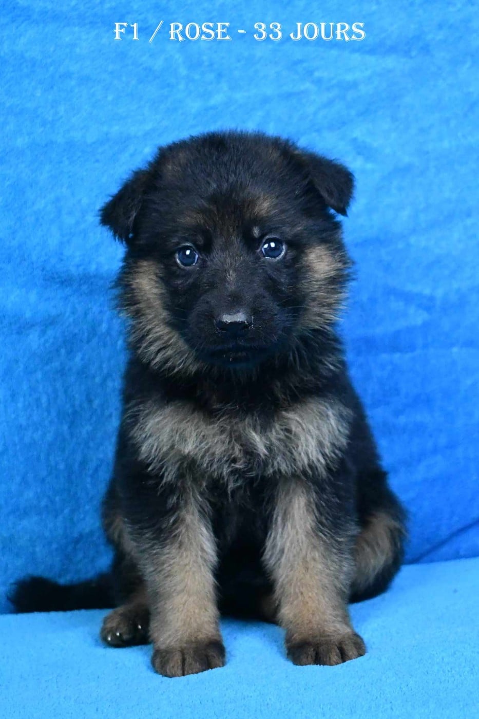 Publication : de la source du Montet