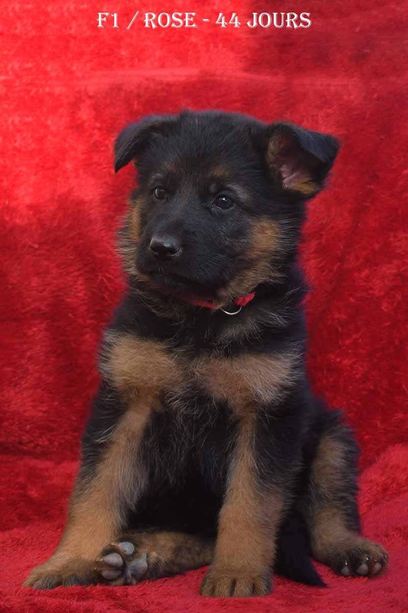 Publication : de la source du Montet