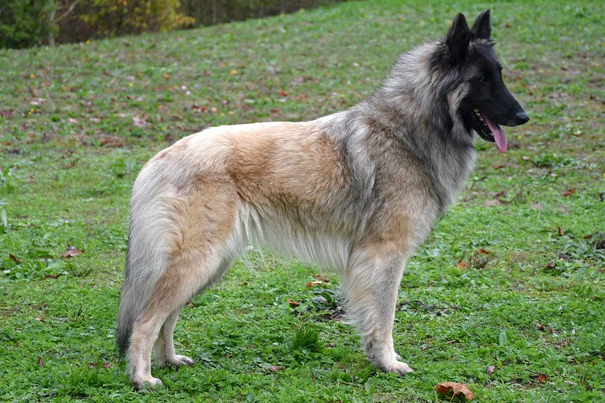 CH. Reaction eblouissante de la source du Montet