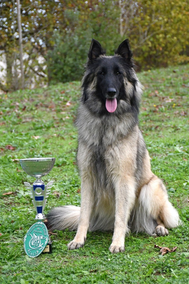 CH. Reaction eblouissante de la source du Montet