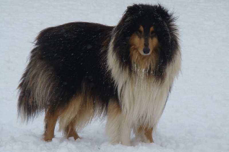 Publication : de la source du Montet