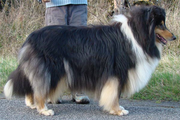 Publication : de la source du Montet