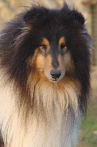 Publication : de la source du Montet