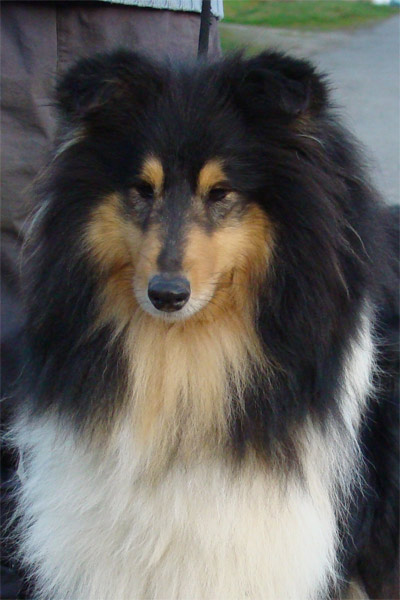 Publication : de la source du Montet