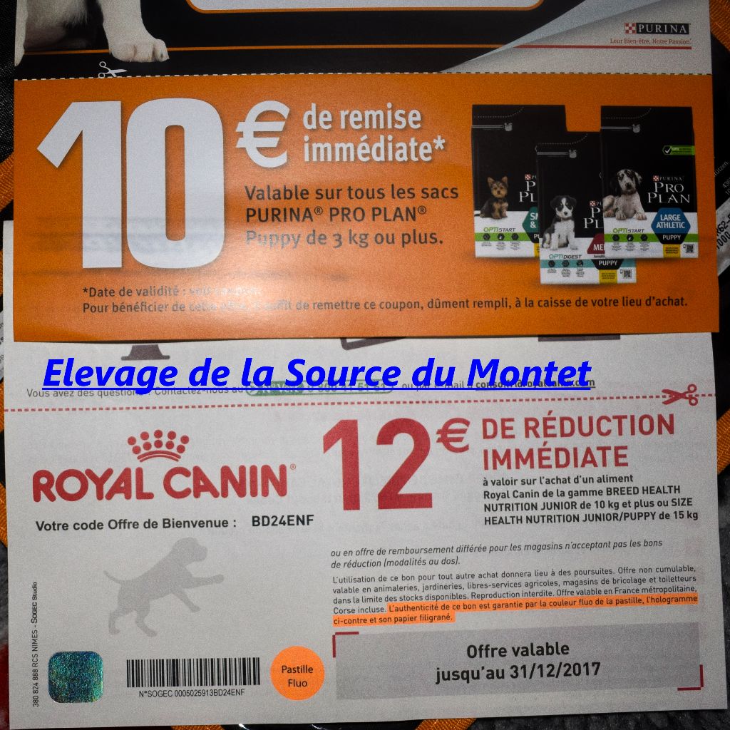 Bon De Réduction Royal Canin à Imprimer