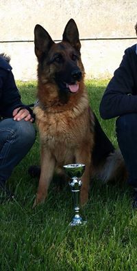 Guess de la source du Montet - Excellent