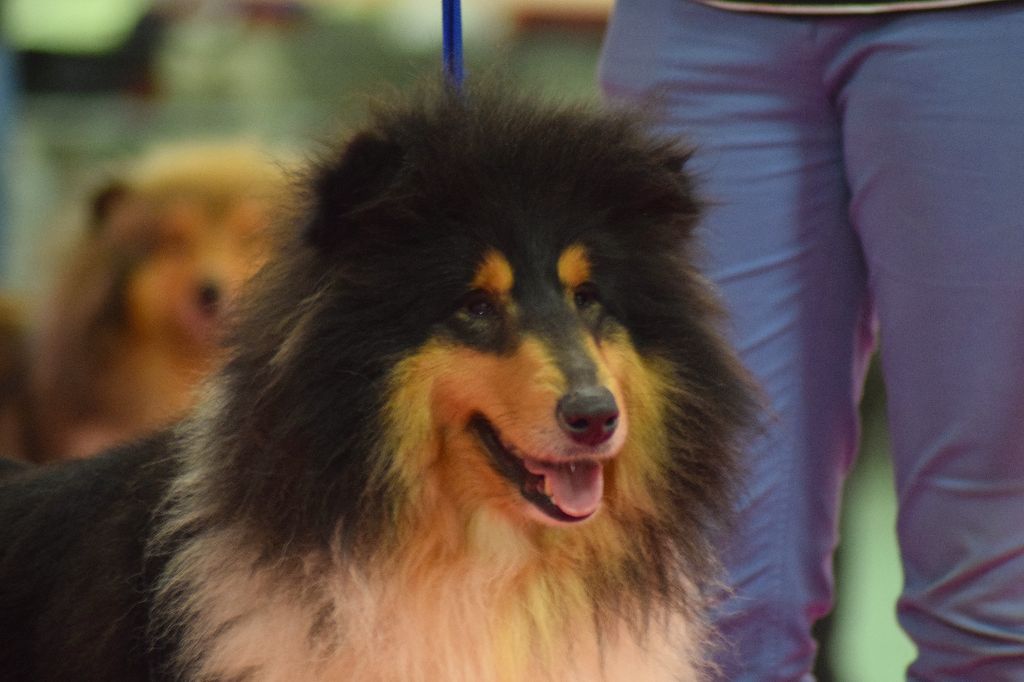 Jolie journée de la source du Montet - 2 eme Excellent