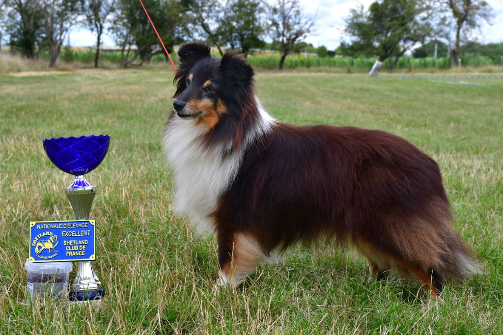 Devinette de la source du Montet - 2eme Excellent