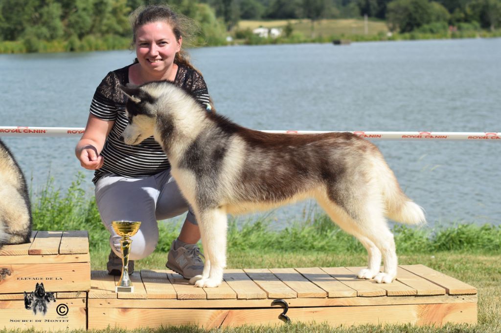 CH. Bad black is back legend of the spirit - 1er Excellent Meilleur Jeune 3eme jeune du groupe 5
