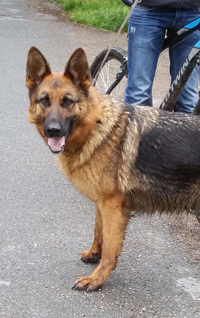 Guess de la source du Montet - ENDURANCE