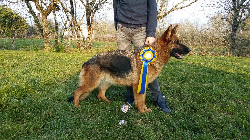 Guess de la source du Montet - 2eme EXCELLENT RCACS RCACIB