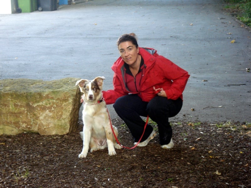 EXCEPTIONNEL RED DOG DES ANCETRES SAUVAGES