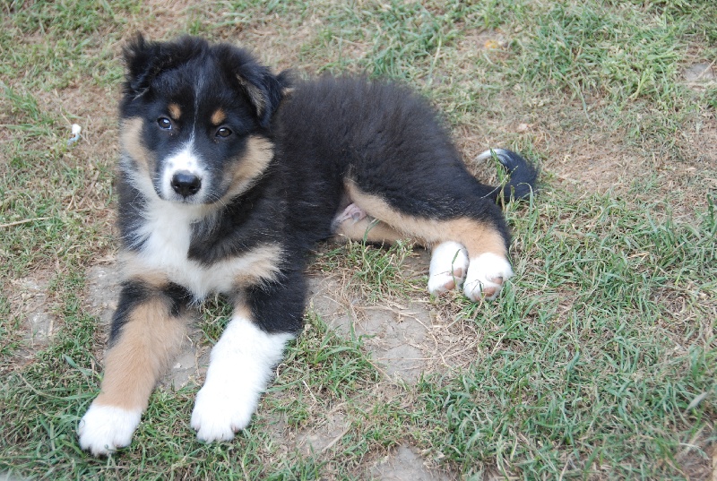 EXTREME LIMITE DES ANCETRES SAUVAGES