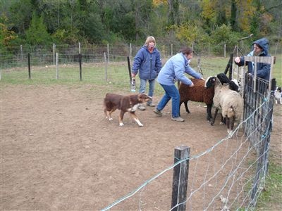 EXTREME SPORT DREAMER DES ANCETRES SAUVAGES
