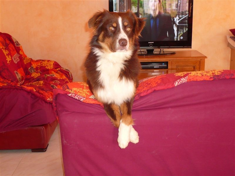 EXTREME SPORT DREAMER DES ANCETRES SAUVAGES