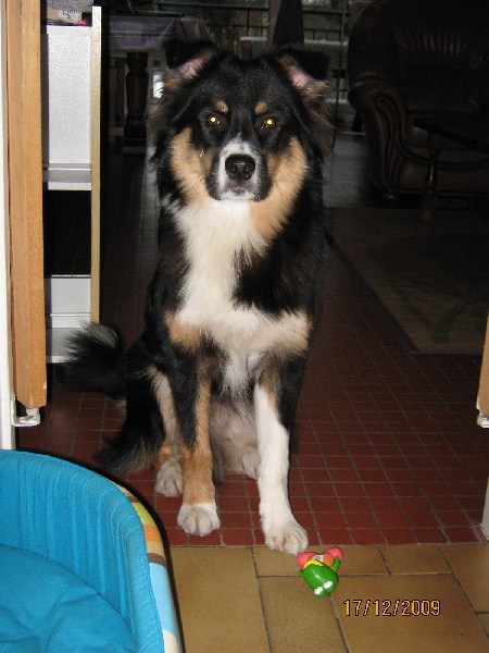 EXTREME LIMITE DES ANCETRES SAUVAGES