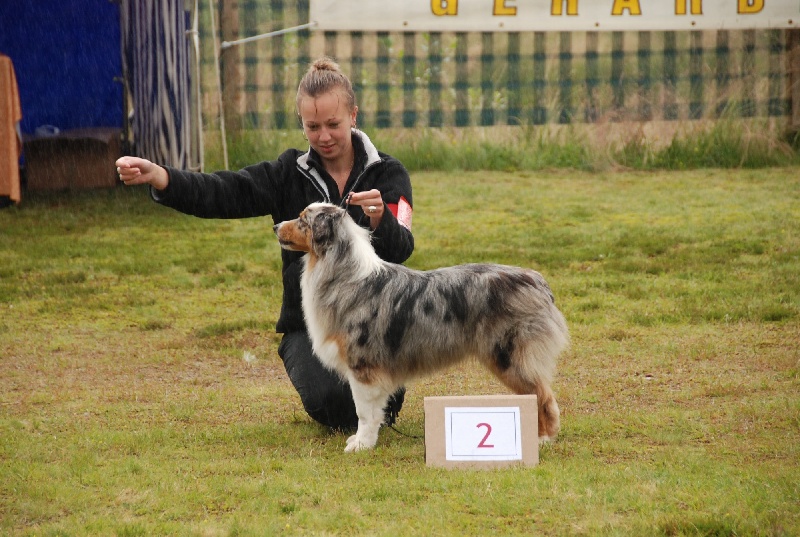 Bitchigan Du rivage des mille etangs - 2 ème EXC