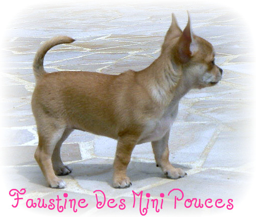 Faustine des Mini Pouces