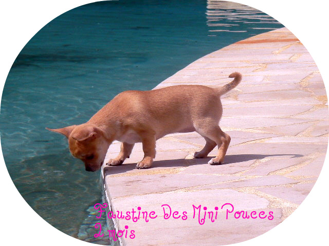 Faustine des Mini Pouces