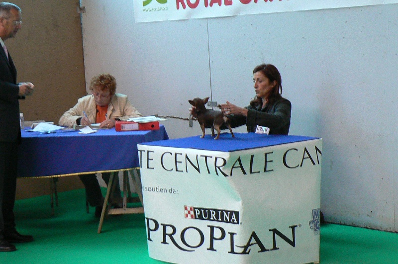 E-attila dit ernest les minis gringos - Classe ouverte EXC 4