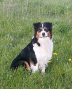 After eight des Chemins Cathares